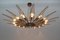 Dahlia Mod. 1563 Brass and Glass Chandelier by Max Ingrand, 1954 11