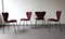 Series 7 Chairs by Arne Jacobsen for Fritz Hansen, 1990, Set of 4 3
