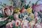 Carlo De Tommasi, Flowers, Oil on Canvas, Framed 3