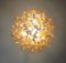 Vintage Italian Murano Chandelier with 53 Amber Glass Petals from Mazzega, 1990s 14