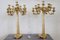 Antique Gilt Bronze Candelabras with 11 Lights, Late 19th Century, Set of 2 17