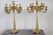 Antique Gilt Bronze Candelabras with 11 Lights, Late 19th Century, Set of 2 18