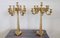Antique Gilt Bronze Candelabras with 11 Lights, Late 19th Century, Set of 2 6