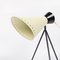 Mid-Century Tripod Table Lamps by Josef Hůrka for Napako, 1960s, Set of 2, Image 7