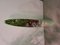 Unghia Nail Lipstick Floor Mirror en Vert Sage Pâle 3