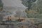 C. Chouet, The Pond and the Ducks, Aquarell, 1890er, gerahmt 3
