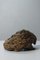 Philippe Conficconi, Pangolin Sculpture, Patinated Terracotta, 2014, Image 7