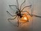 Mid-Century Modern Italian Metal and Glass Spider Wall Lamp, 1950s 15