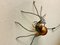 Mid-Century Modern Italian Metal and Glass Spider Wall Lamp, 1950s, Image 4