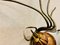 Mid-Century Modern Italian Metal and Glass Spider Wall Lamp, 1950s 9