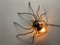 Mid-Century Modern Italian Metal and Glass Spider Wall Lamp, 1950s 14