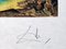 Salvador Dali, Cigni che riflettono elefanti, Litografia originale firmata a mano, anni '70, Immagine 2