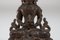 Buda de bronce de los Budas, Amitayus, Imagen 8