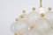 Large Frosted Glass and Brass Chandelier attributed to Kinkeldey, Germany, 1970s 4