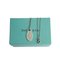 Collar de cadena con etiqueta ovalada de plata 925 de Tiffany & Co., Imagen 2