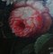 Artiste Hollandais, Nature Morte Florale, Peinture à l'Huile, Encadrée 3