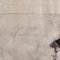 Sarah Bernhardt, Radierung, 1896, gerahmt 3