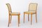 Stühle von Ligna, Ehemalige Tschechoslowakei, 1960er-1970er, 2er Set 4