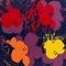 Domingo B. Mañana después de Andy Warhol, Flowers 11.66, Serigrafía, Imagen 1