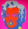 Sunday B. Morning after Andy Warhol, Marilyn 11.22, Silkscreen Print 1