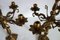 Candeleros de querubín de bronce dorado, de principios del siglo XX. Juego de 2, Imagen 9