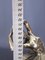 Silver-Plated Resin R925 Dancer Statue on Marble Base by Santini, 20th Century 4