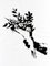 Banksy, GDP Flower Thrower, 2019, Screenprint, Image 1