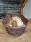 Mangiatoia antica o vaso, XIX secolo, Immagine 12