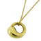Eternal Circle Yellow Gold Necklace from Tiffany & Co. 1