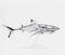 Escultura de Hajime Sorayama, Sorayama Shark, vinilo y ABS, Imagen 1