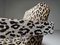 Poltrona Utrecht 637 in velluto leopardato di Gerrit Rietveld per Cassina, anni '80, Immagine 8