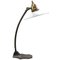 French Holophane Glass, Brass and Cast Iron Desk Light / Table Lamp 1