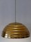 Large Mid-Century Modern Pendant Lamp from Vereinigte Werkstätten, Germany, 1960s, Image 10
