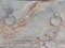 Vasca da bagno antica in zinco, Francia, fine XIX secolo, Immagine 9