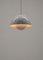 Enamel Hanging Lamp by Verner Panton for Louis Poulsen, 1960s 9