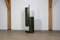 Drehbare Garderobe von Carlo De Carli für Fiarm, 1965 8