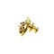 Ladybug Brooch in Yellow Gold from Chopard 2