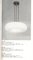 2356 Ceiling Light by Max Ingrand for Fontana Arte, 1960s 5