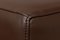 Modell Ds-172 Sofa von de Sede, 2000er 10