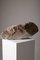 Tasca grande in onice beige, Immagine 6