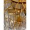 Clear Selle Murano Glass and Gold 24k Chandelier 7