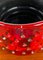 Pot de Poterie Strawberry Studio par Fratelli Fantullacci pour Bitossi, Italie, 1960s 8