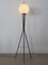 Lampe en Métal et Verre de Stilnovo, Italie, 1950s 2