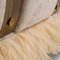 Ostrich Fluff Modern Sofa by Egg Designs 6
