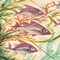 Large Ceramic Hand Painted Artwork of Fish by Diaz Costa, 1960, Image 14