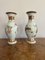 19th Century Porcelain Chinese Famille Vercv Vases, 1880s 5