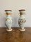 19th Century Porcelain Chinese Famille Vercv Vases, 1880s 4