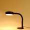 Brown Desk Lamp from Hala Zeist 4