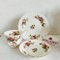 Vintage Moos Rose Porzellan Set von Royal Albert, England, 6 . Set 2