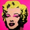 Andy Warhol, Marilyn Monroe Portfolio, Serigrafía, Juego de 10, Imagen 2